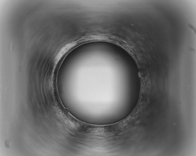 X0000100980104200807011452