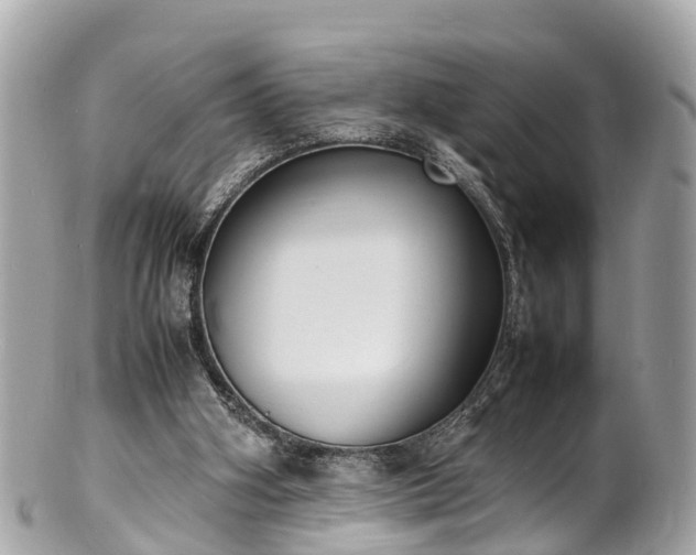 X0000100980106200807011452