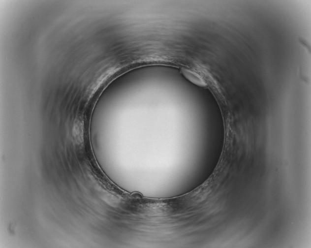 X0000100980108200807011452