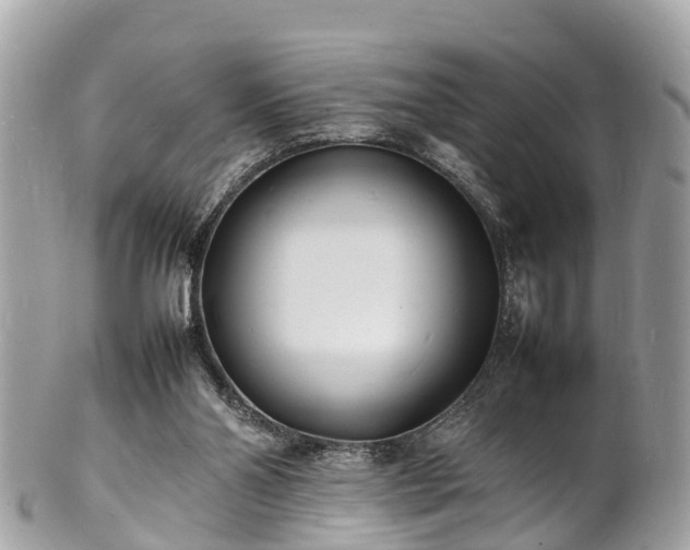 X0000100980110200807011452