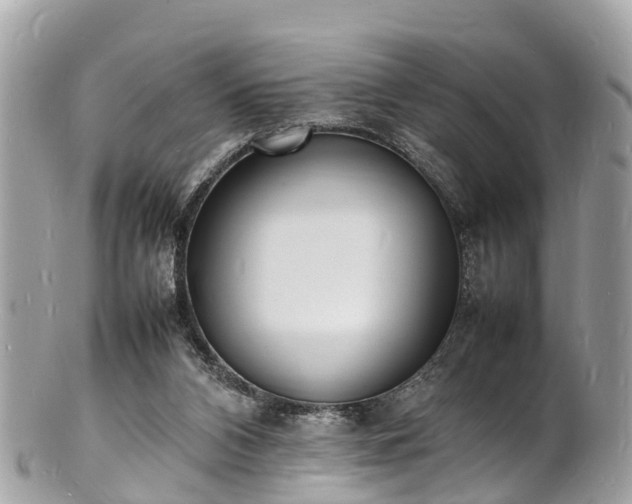 X0000100980112200807011452