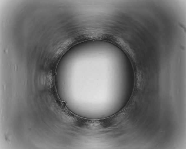 X0000100980113200807011452