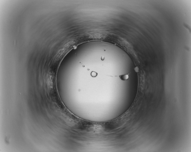 X0000100980114200807011452