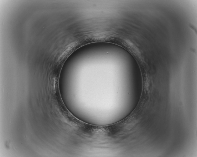 X0000100980115200807011452