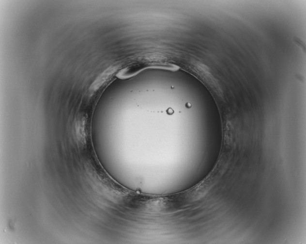 X0000100980116200807011452