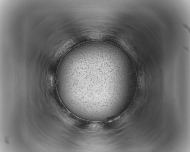 X0000100980117200807011452