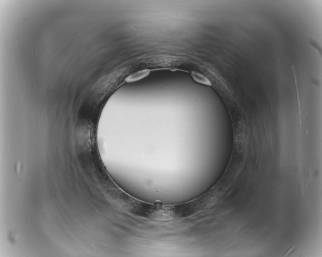 X0000100980119200807011452