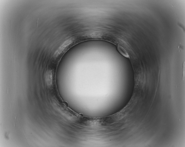 X0000100980120200807011452