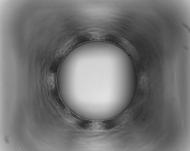 X0000100980121200807011452