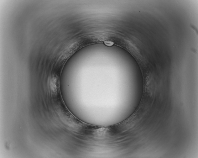 X0000100980122200807011452