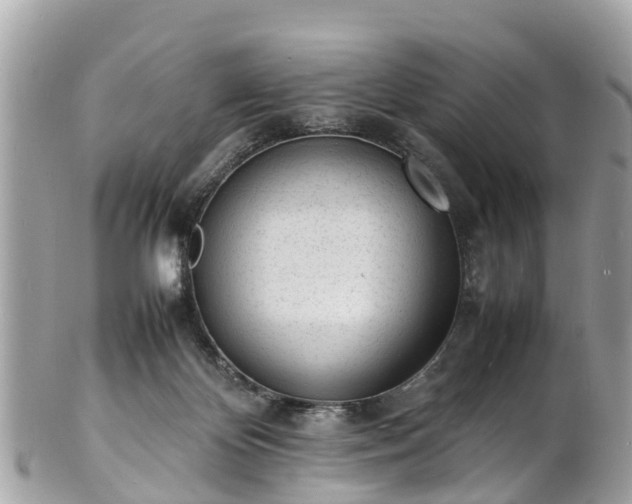 X0000100980124200807011452