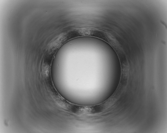 X0000100980125200807011452