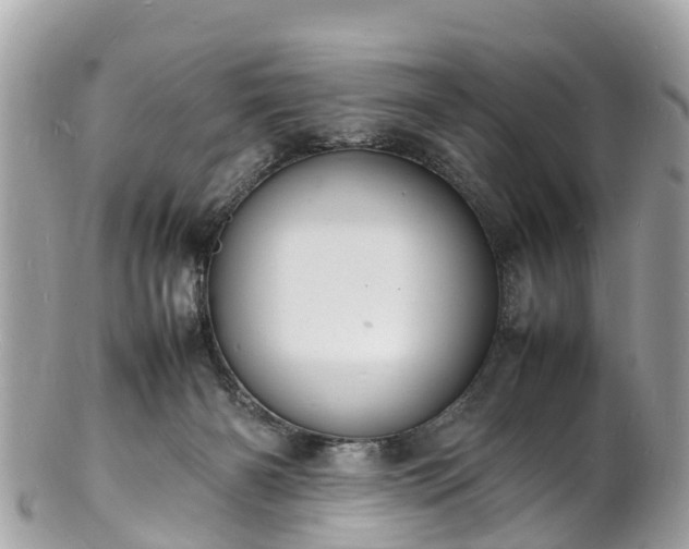 X0000100980126200807011452