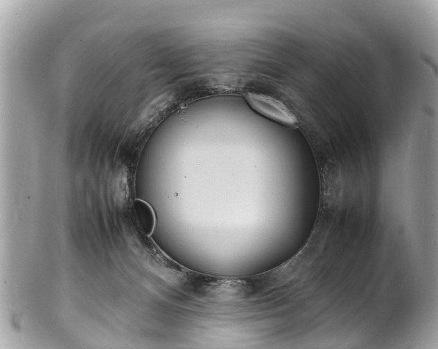 X0000100980128200807011452