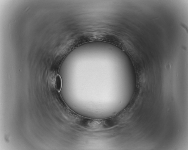 X0000100980129200807011452