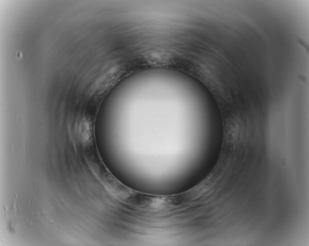 X0000100980130200807011452