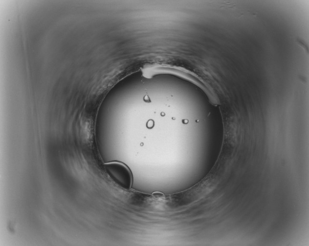 X0000100980131200807011452