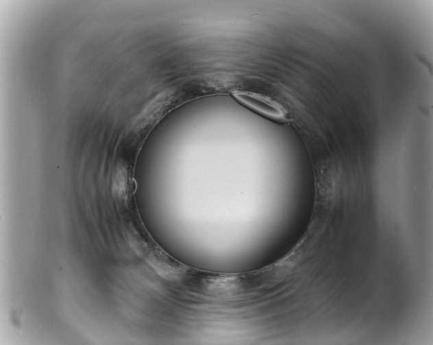 X0000100980132200807011452