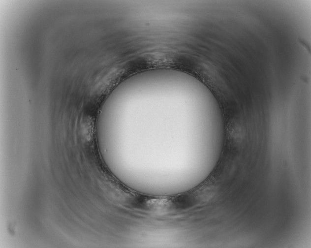 X0000100980133200807011452