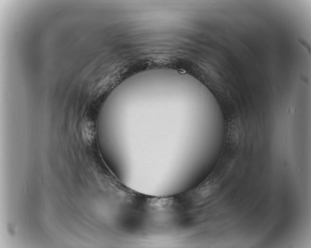 X0000100980135200807011452