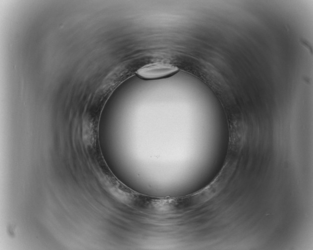 X0000100980136200807011452