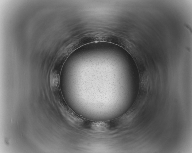 X0000100980137200807011452