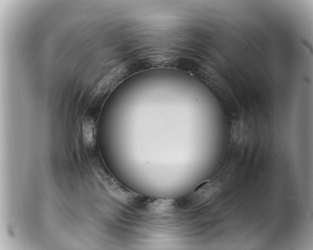 X0000100980138200807011452