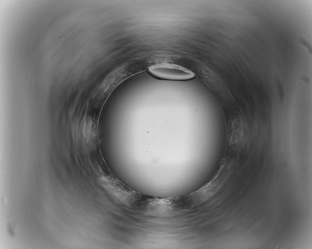 X0000100980140200807011452