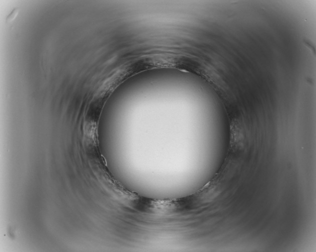 X0000100980141200807011452