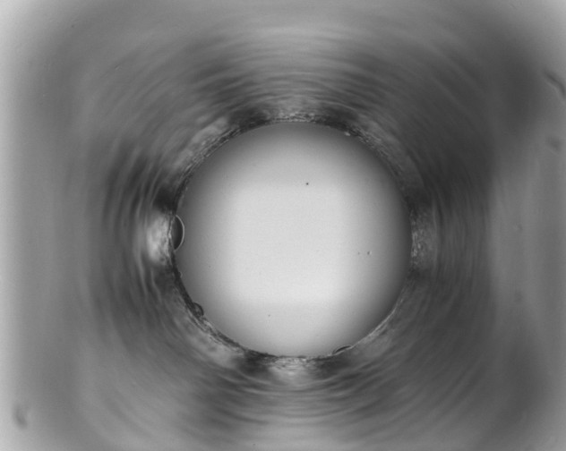 X0000100980142200807011452