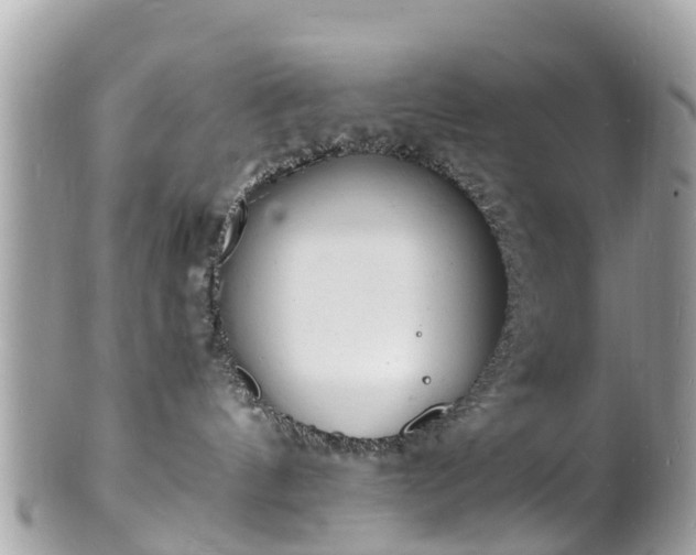 X0000100980144200807011452