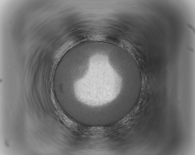 X0000100980145200807011451