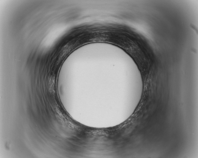 X0000100980146200807011451