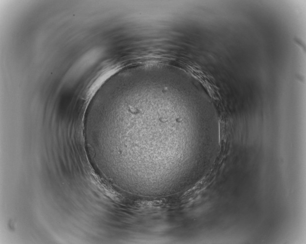 X0000100980147200807011451