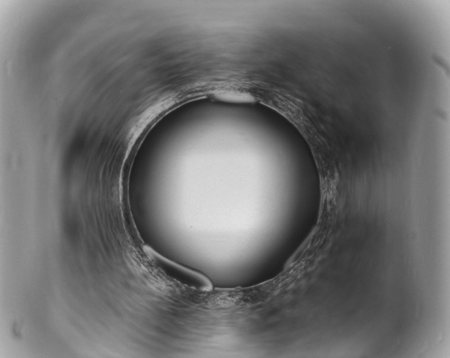 X0000100980148200807011451