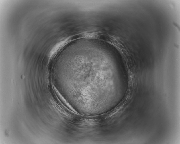 X0000100980149200807011451