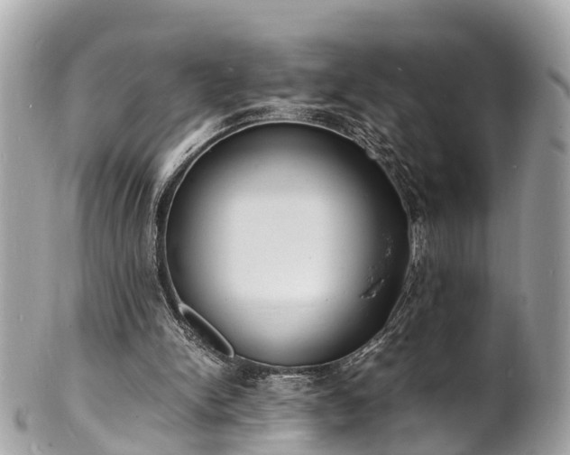 X0000100980150200807011451