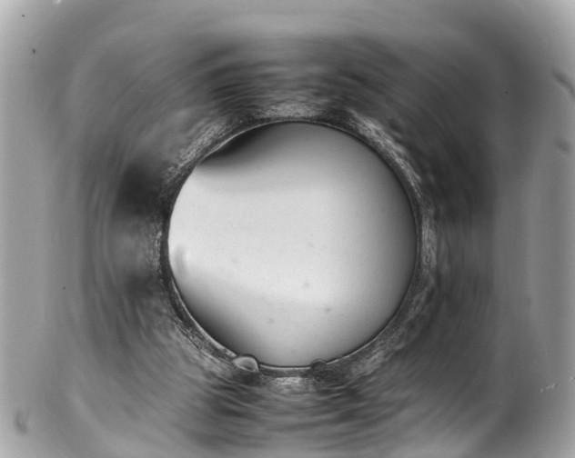 X0000100980153200807011451