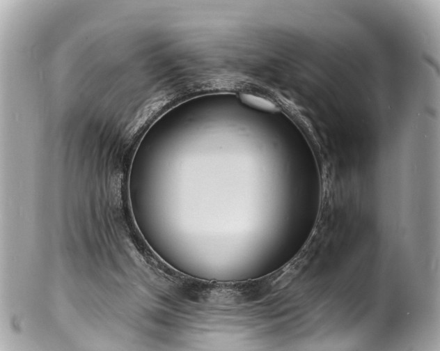 X0000100980154200807011451