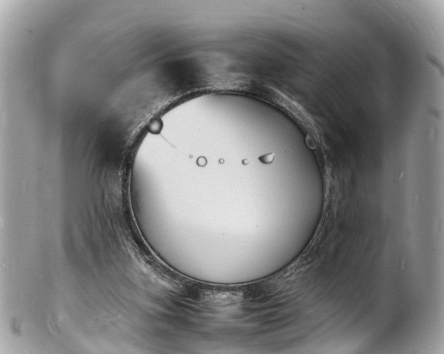 X0000100980155200807011451