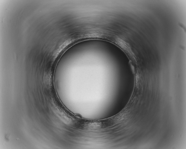 X0000100980156200807011451