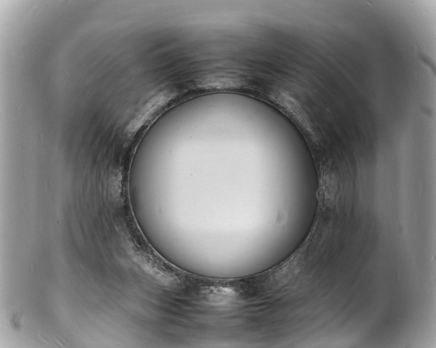 X0000100980159200807011451