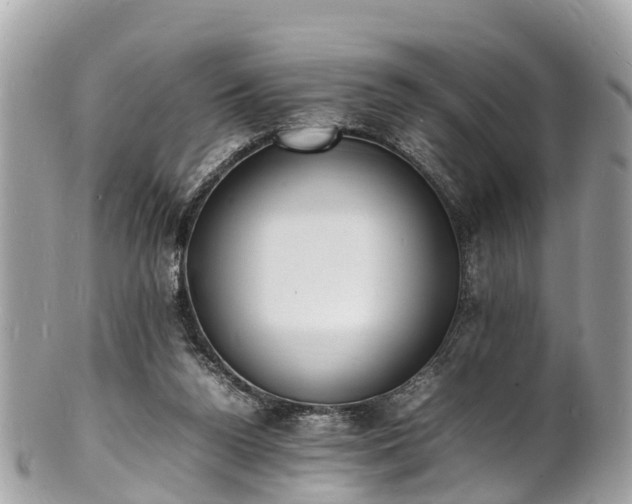 X0000100980160200807011451