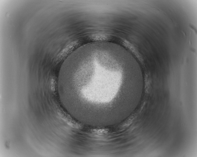 X0000100980161200807011451