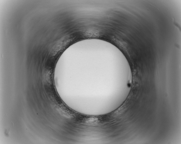 X0000100980162200807011451