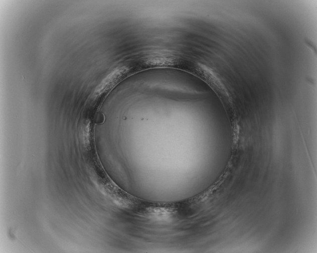 X0000100980163200807011451