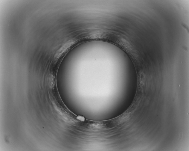 X0000100980164200807011451