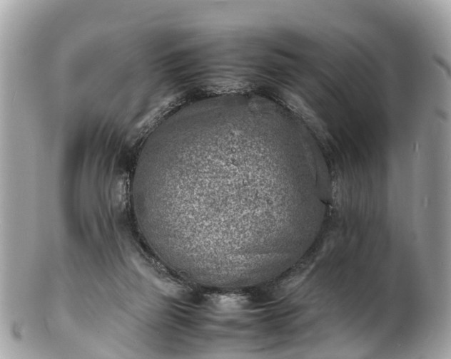 X0000100980165200807011451