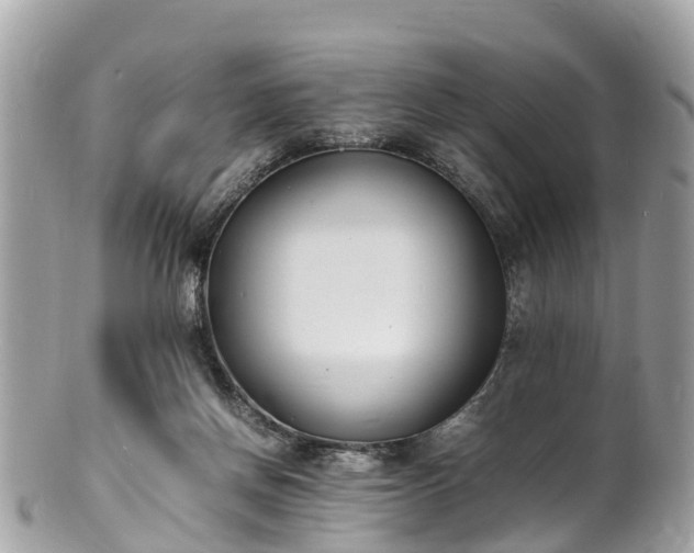 X0000100980166200807011451