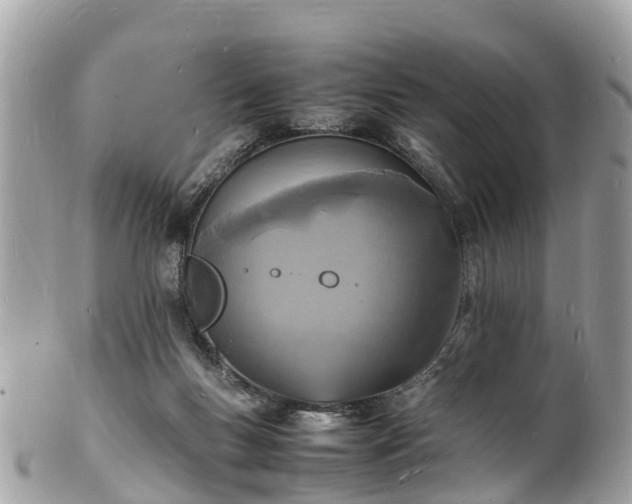 X0000100980167200807011451